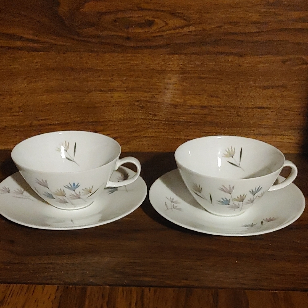 Rosenthal White Tea Cup and Saucer Set